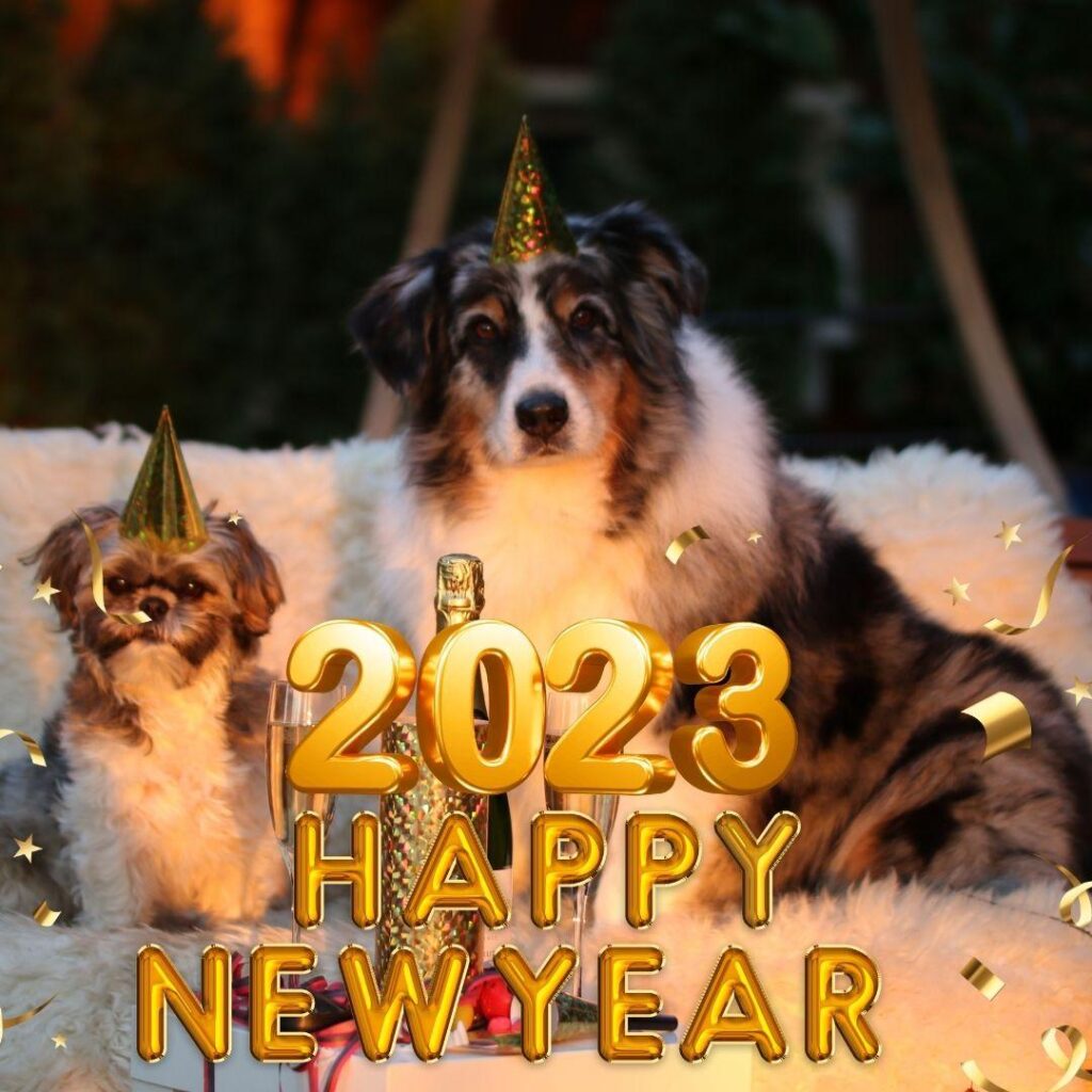 Celebrating New year with your Pets