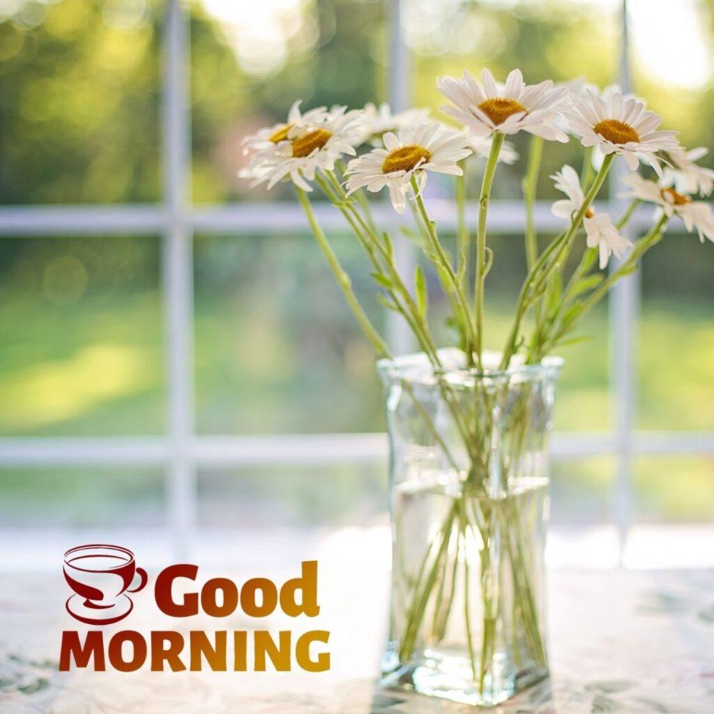 
good morning flowers images