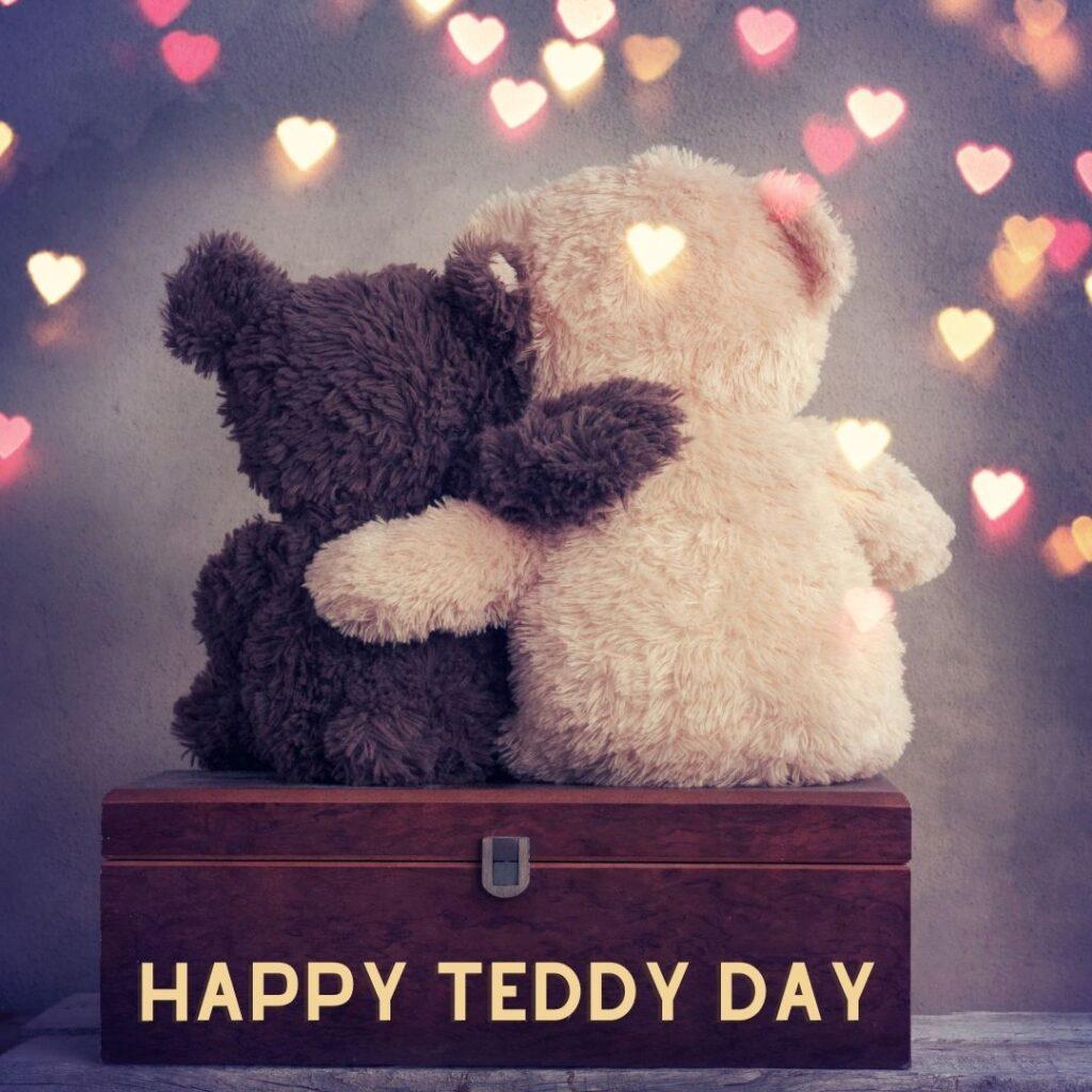 teddy day funny