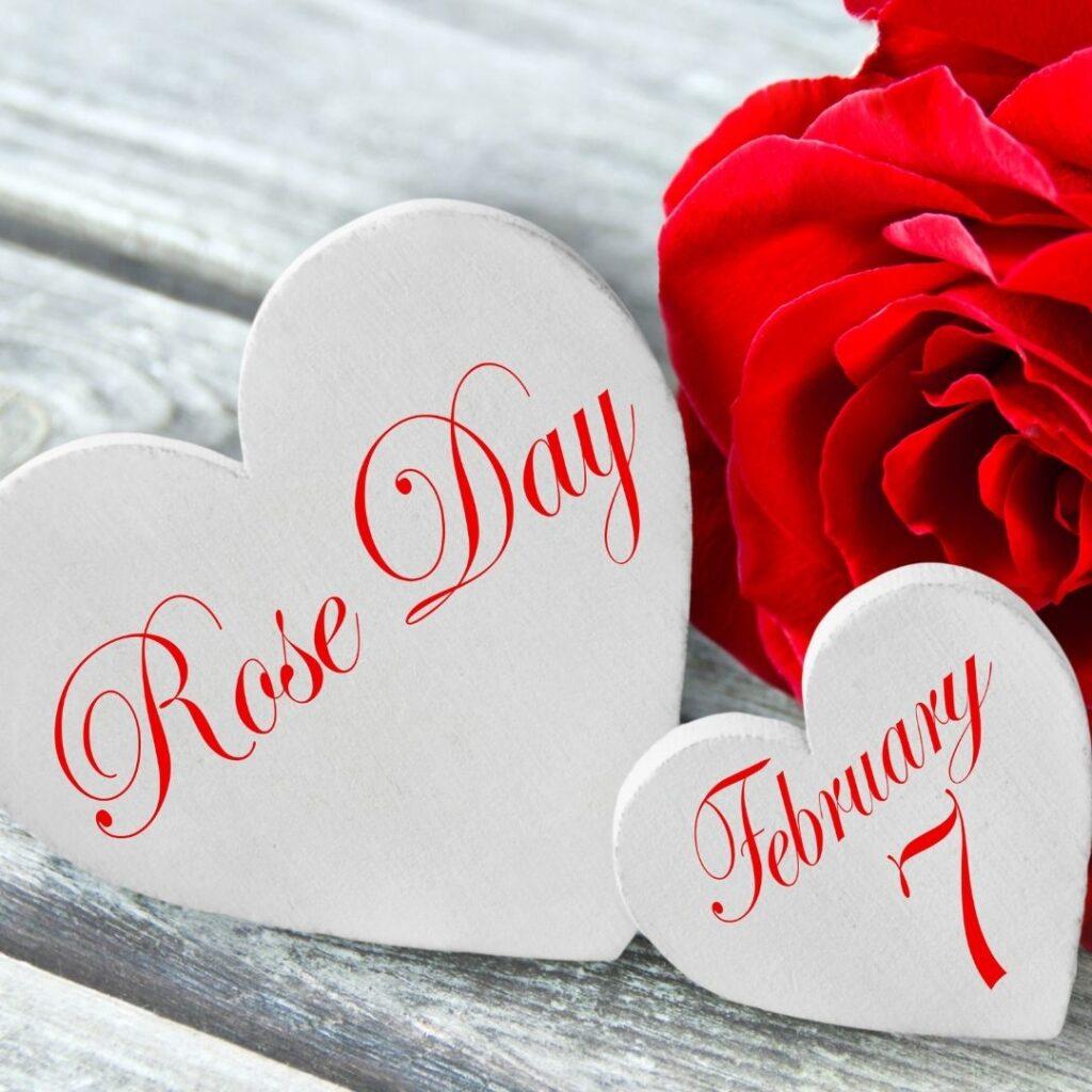 happy rose day 2023 date