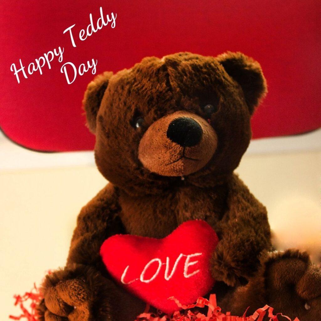 teddy day images for whatsapp status download