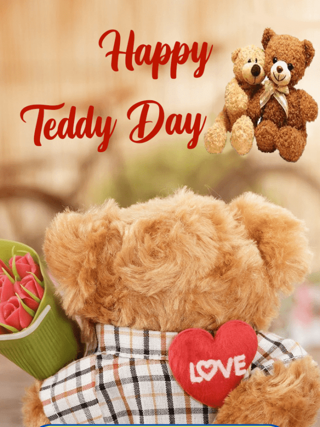 Happy Teddy Day 2023: क्यों मनाया जाता है टेडी डे जानिए पूरी डिटेल